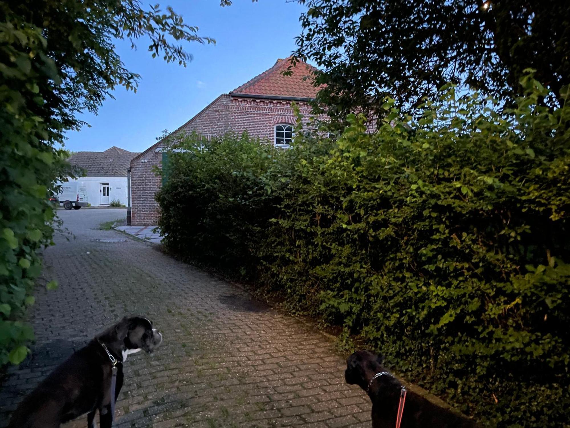 Gulfhaus Alte Meesterei Manslagt 외부 사진
